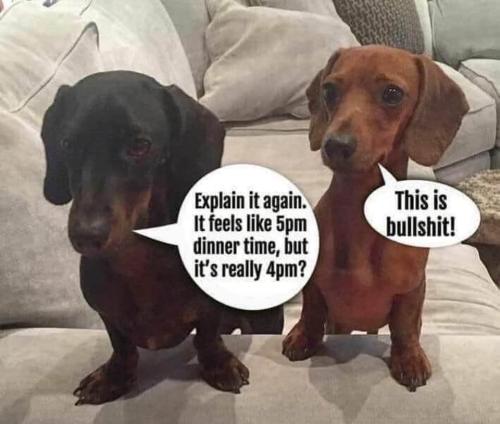 252279816_2975872099319485_6931381937620943464_n