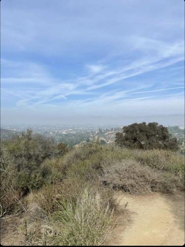 22:38:55 GMT-0600 (CST).image