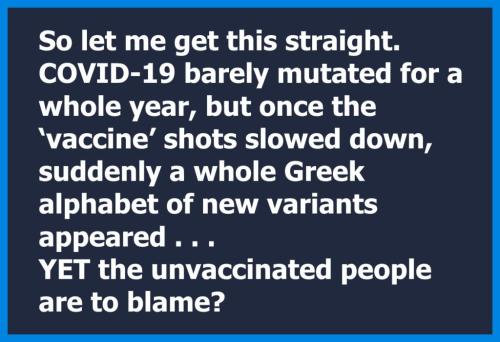 caac352b2b26072c17838fb9511f1451_1024