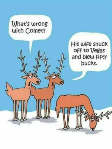 25443194_1999612576920044_8747339759581654318_n