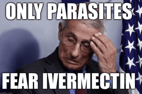 Parasites fear Ivermectin