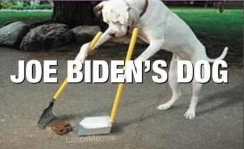 252133357_1870125593192234_7115051753714237021_n