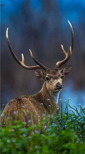 tumblr_c4cfbc5b32d5eb4741875dedd3df6a58_5374ebc6_640