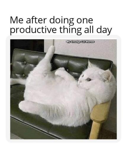 20:51:06 GMT-0600 (CST)