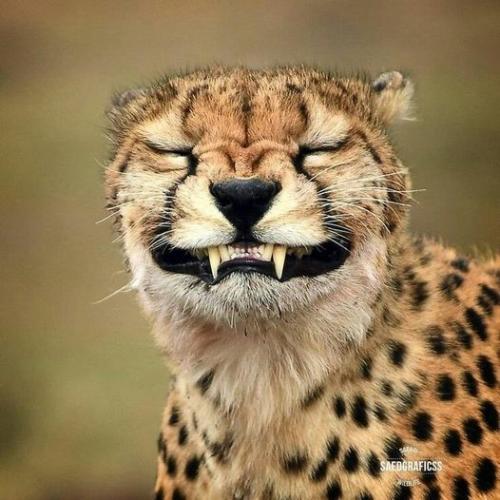 255047228_619504772742328_7888500834350818705_n