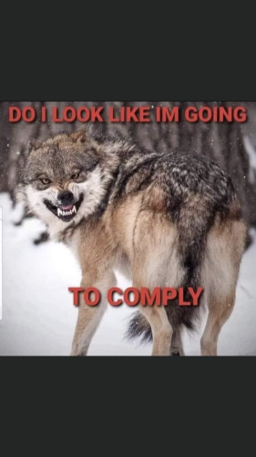 11:20:21 GMT-0500 (EST).image