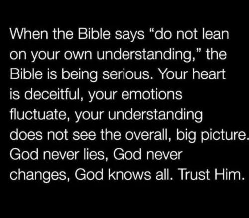 14:16:38 GMT-0600 (CST)