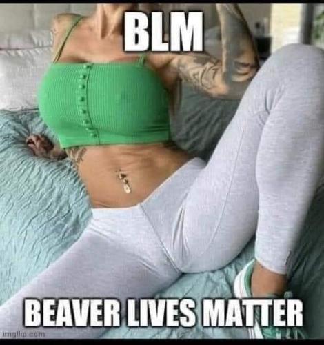 beaver_lives_matter