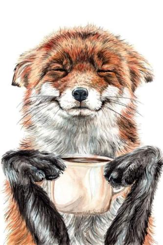 07:48:49 GMT-0600 (CST)