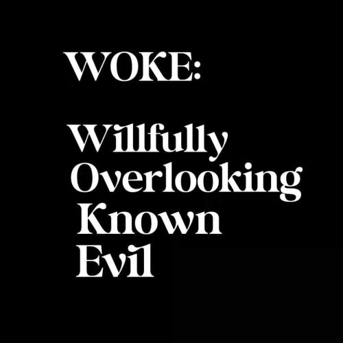 FB_IMG_1637541205314