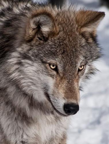 f8b911d050c9bc96c5e09f972296b702