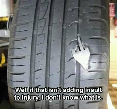 fb257122405_1306303879834897_4518622143458010634_n