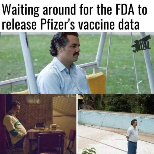 FB_IMG_1637429032565