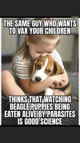 11:20:21 GMT-0500 (EST).image