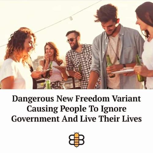 19:35:52 GMT-0600 (CST)