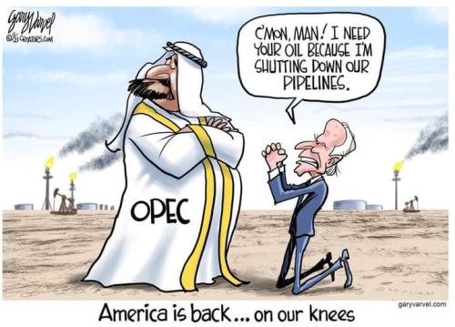 FB_IMG_1636671559196