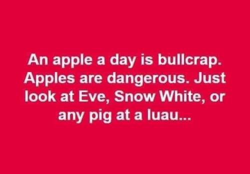 253748646_387377883116504_1530966151322180589_n