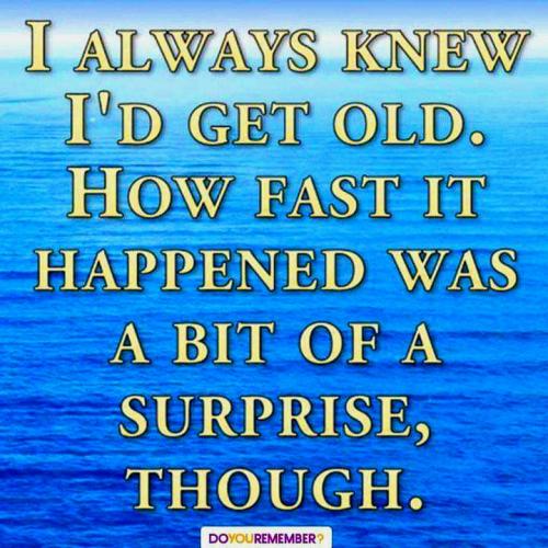 Nla9xacQ94udC7b1FUdW_20_7e38c81a998caa33300ab36f11ceabcd_image