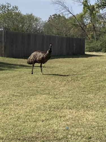 6EFF8B7C-B95D-4A27-8D18-ECC65032AF48