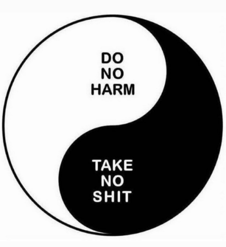 tumblr_8769264591daeb8a96ff659e113ac63a_c06995e3_540