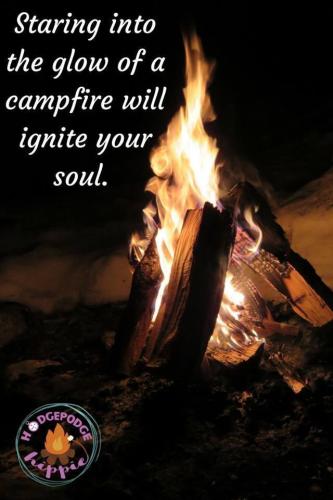 91901261_4024927410858665_7789012161543536640_n