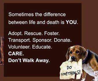 FB_IMG_1638294408849