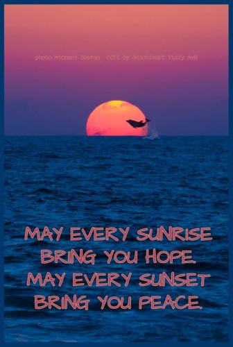 37070705_2203027149726046_3502221658641399808_n