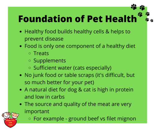 _Foundation Pet Group