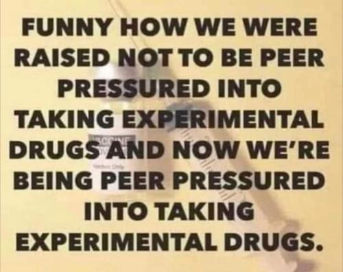 260296543_1292807047851330_1289686085297641093_n