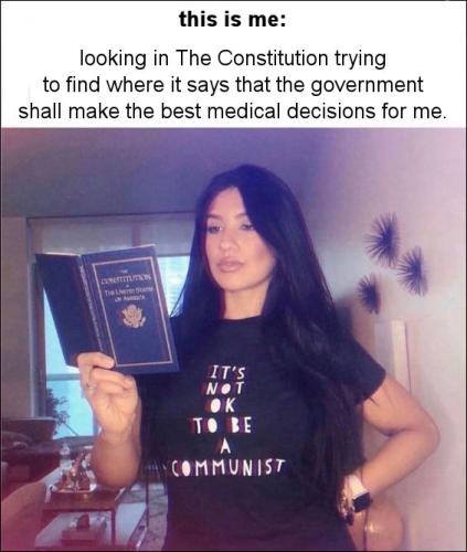 the constitution09