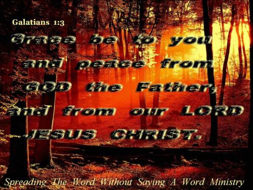 18089_394932407255563_833818463_n