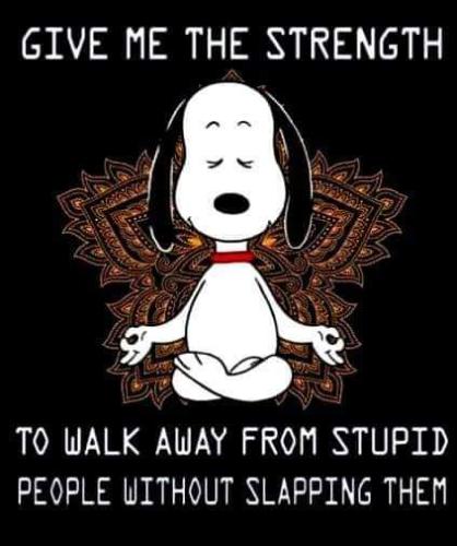 FB_IMG_1636075377860