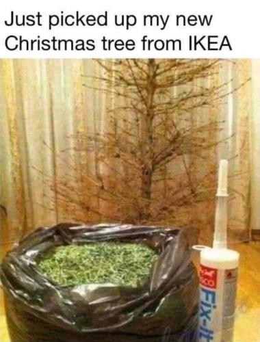 f66aad24-57cc-4333-82e3-14bd29f00396