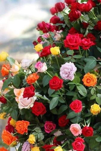 05:35:00 GMT-0600 (CST)