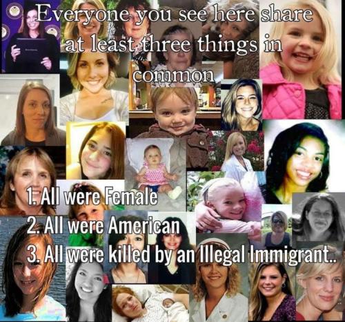 illegal immigration262