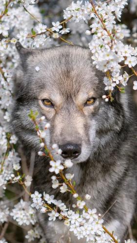 19:18:06 GMT-0600 (CST)