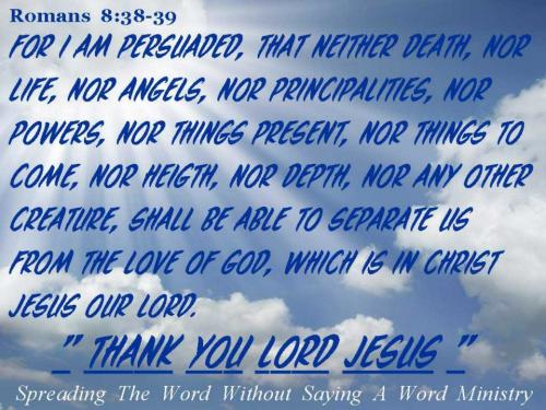 480594_392963710785766_1157117024_n