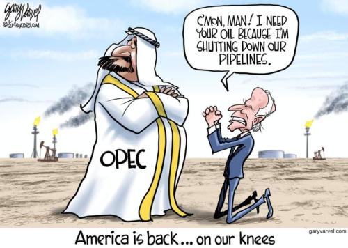 FB_IMG_1636664799139