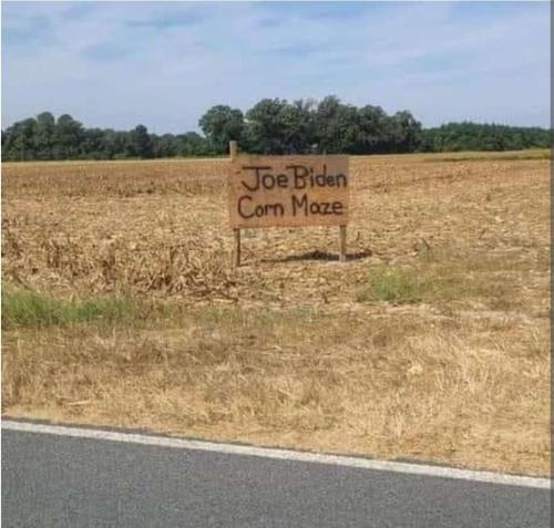 Screenshot_20211111-102655_Chrome