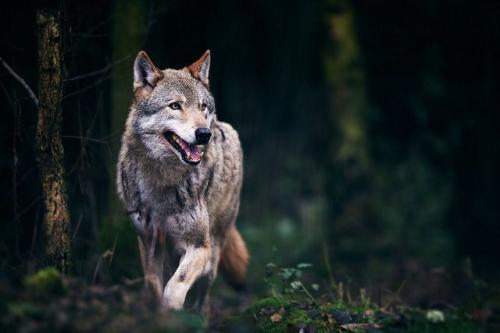 06:56:25 GMT-0600 (CST)