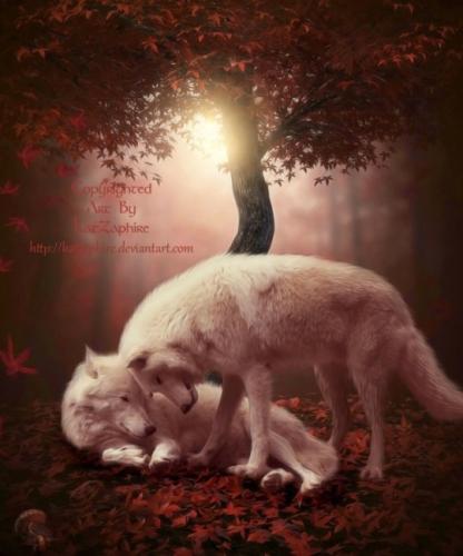 tumblr_orrllgrZCa1vmzw5mo1_540