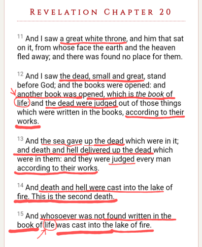 Screenshot_20211115-213349~23