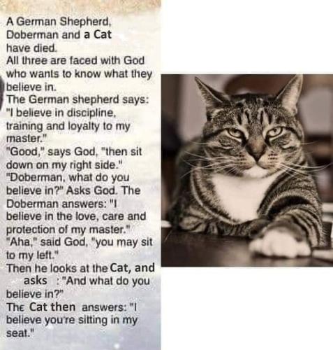 FB_IMG_1637715535734