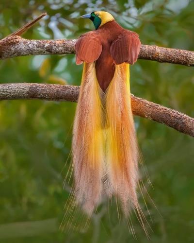 258604434_456847822485563_7812997976459735171_n