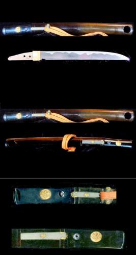 261258182_10160094930949459_2948249865322539950_n