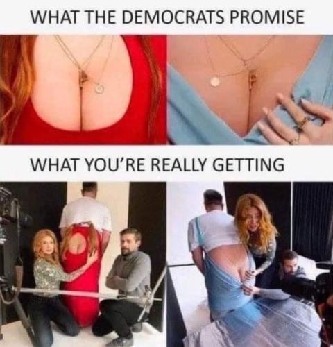 democrats476