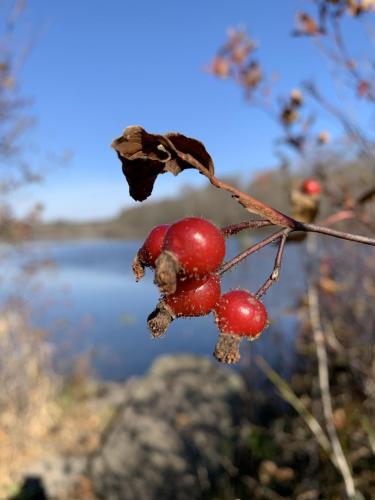 0EB1D7FF-3C58-4FA1-BB3F-94B89F59A868