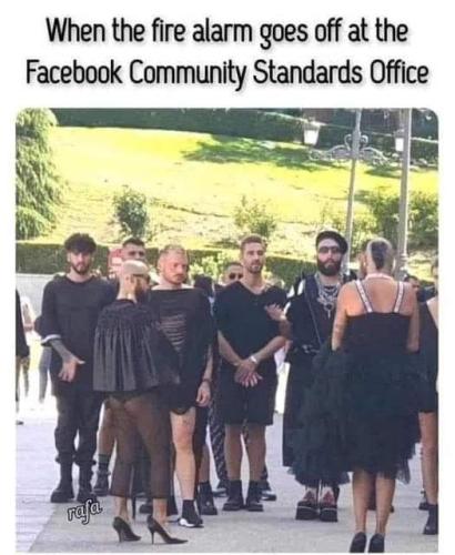 FB_IMG_1637196554090