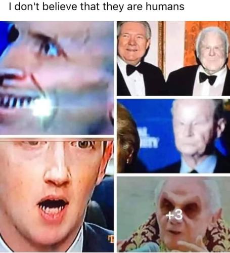 258125467_10222023918599405_7264970444846277743_n