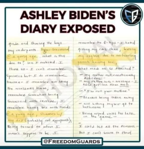 biden diary3